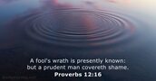 Proverbs 12:16