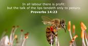 Proverbs 14:23