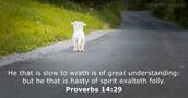 Proverbs 14:29