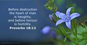 Proverbs 18:12