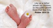Psalm 103:13