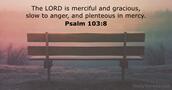 Psalm 103:8