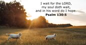 Psalm 130:5