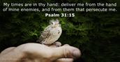 Psalm 31:15
