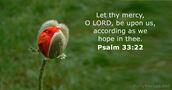 Psalm 33:22