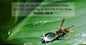Psalm 38:9