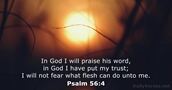 Psalm 56:4