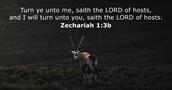 Zechariah 1:3b