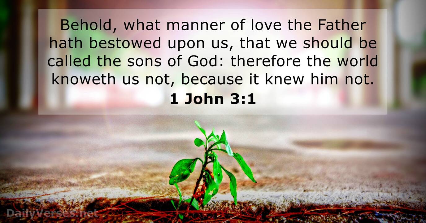 1 John 3 1 ESV Bible Verse Of The Day DailyVerses