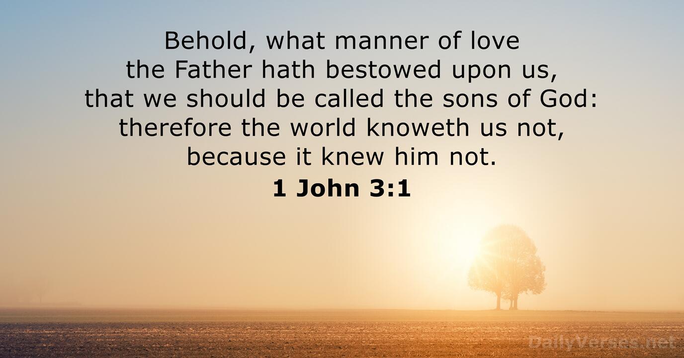 1 John 3 1 Bible Verse KJV DailyVerses