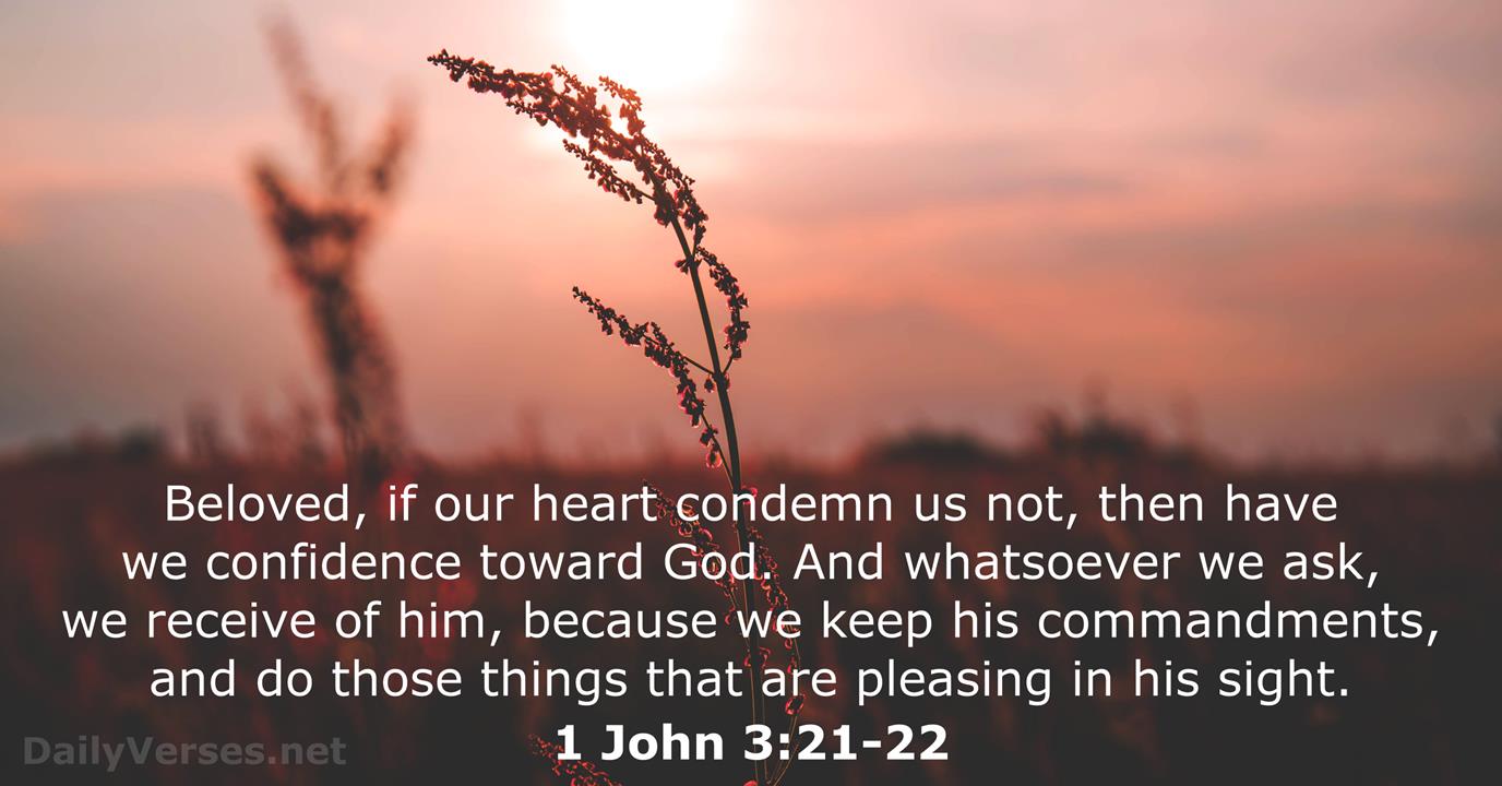 1 John 3 21 22 Bible Verse KJV DailyVerses