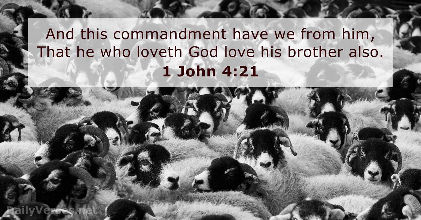 1 John 4 21 Bible Verse KJV DailyVerses