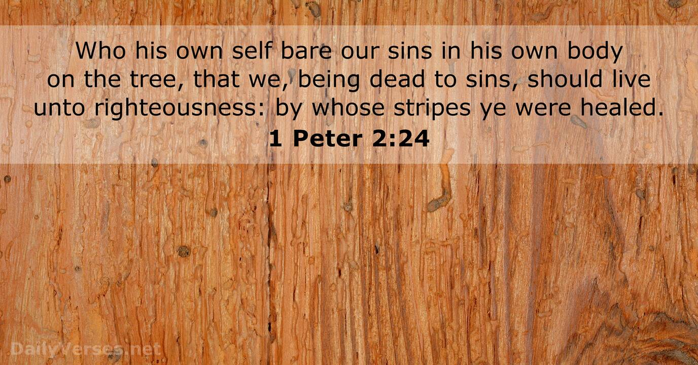 1 Peter 2 24 ESV Bible Verse Of The Day DailyVerses