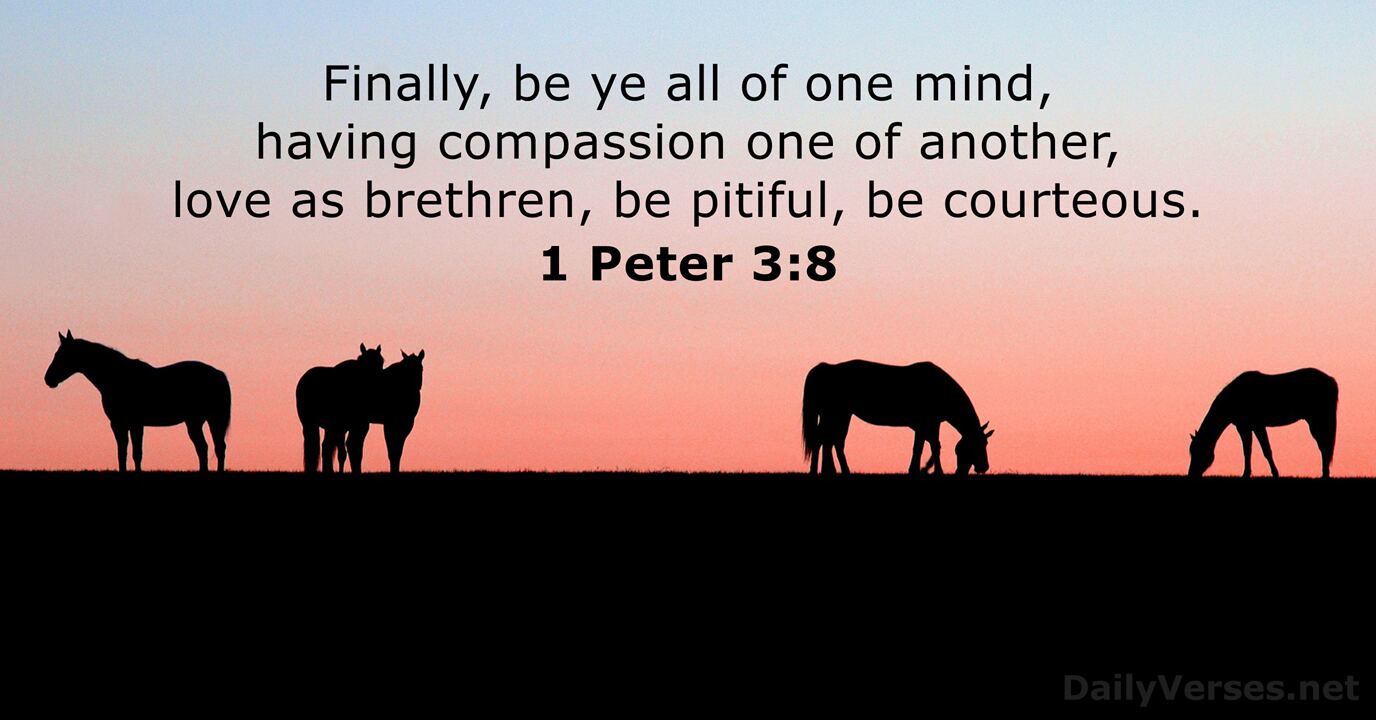 1 Peter 3 8 Bible Verse KJV DailyVerses