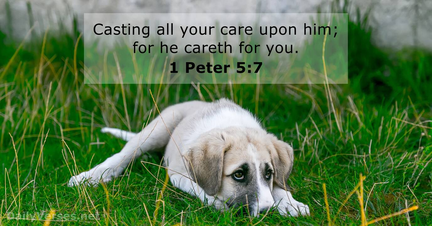 1 Peter 5:7 - KJV - Bible verse of the day - DailyVerses.net