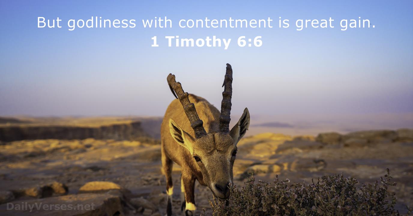 1 Timothy 66 KJV Bible verse of the day