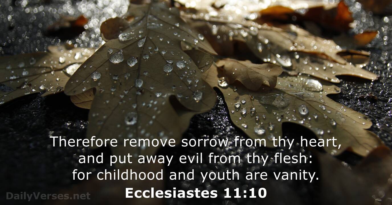 ecclesiastes 11 9 10 kjv