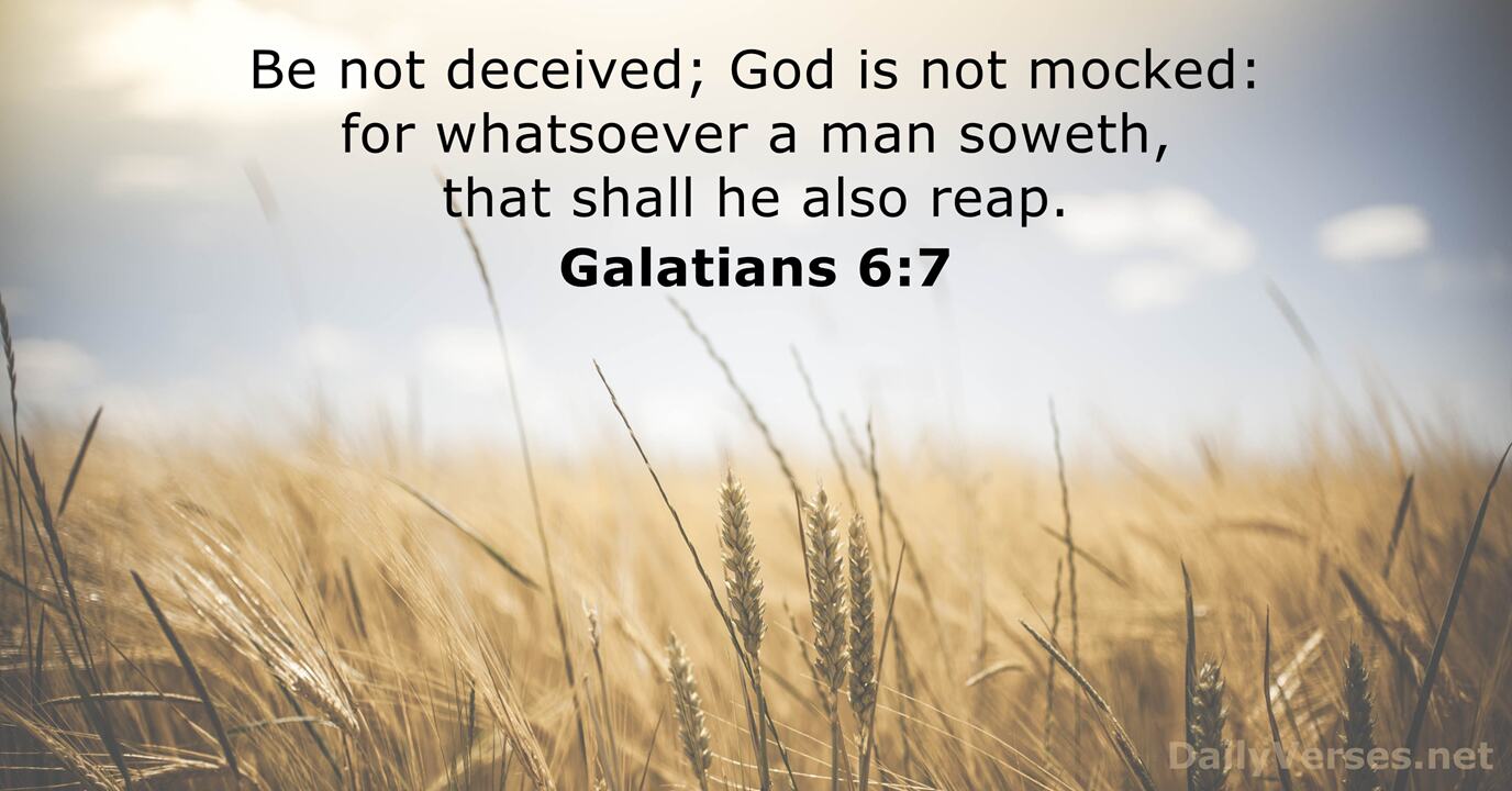 August 10, 2024 - Bible verse of the day (KJV) - Galatians 6:7 ...