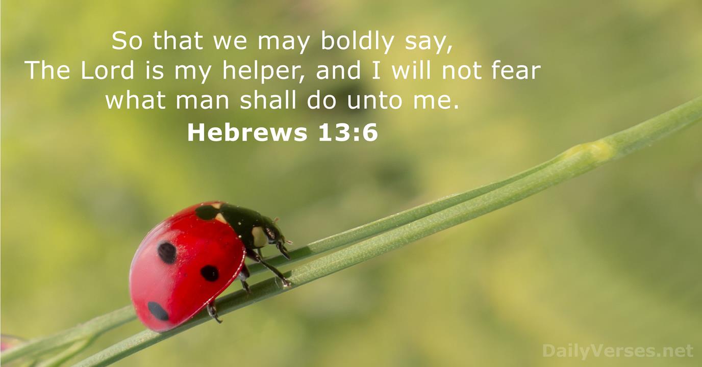 Hebrews 13 6 Bible Verse KJV DailyVerses