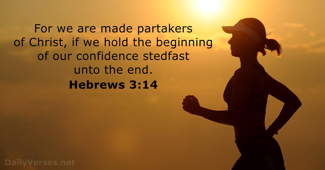 Hebrews 3 14 Bible Verse KJV DailyVerses