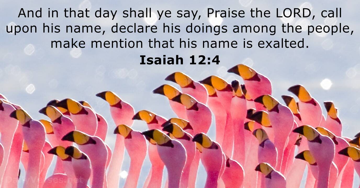 Isaiah 12 4 Bible Verse KJV DailyVerses