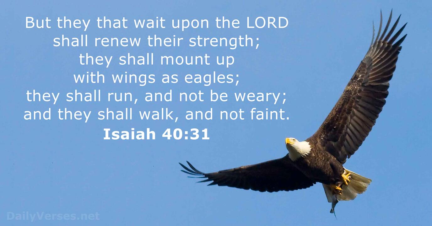 June 19 2021 Bible Verse Of The Day KJV Isaiah 40 31 