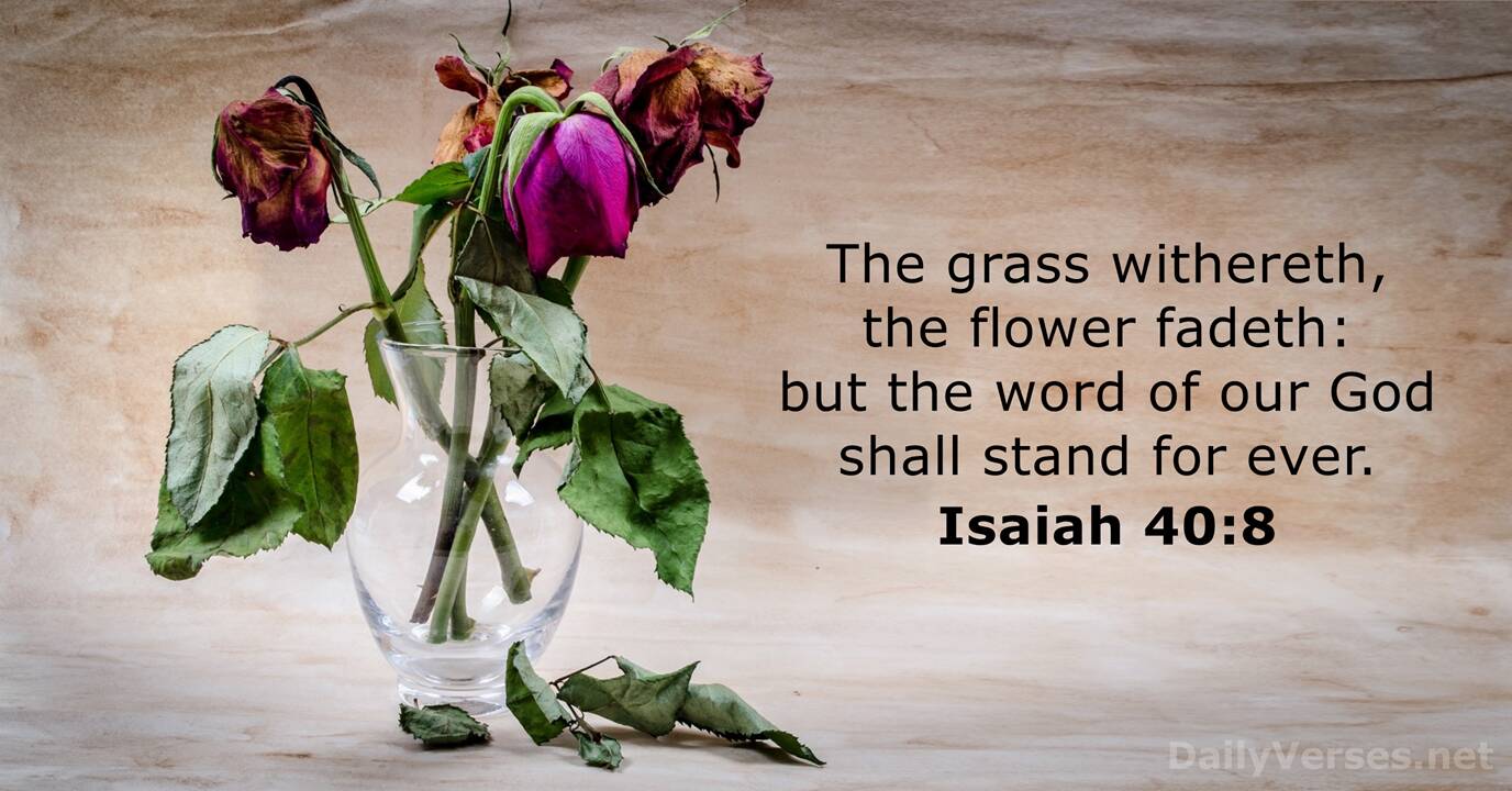 Isaiah 40 8 Bible Verse KJV DailyVerses