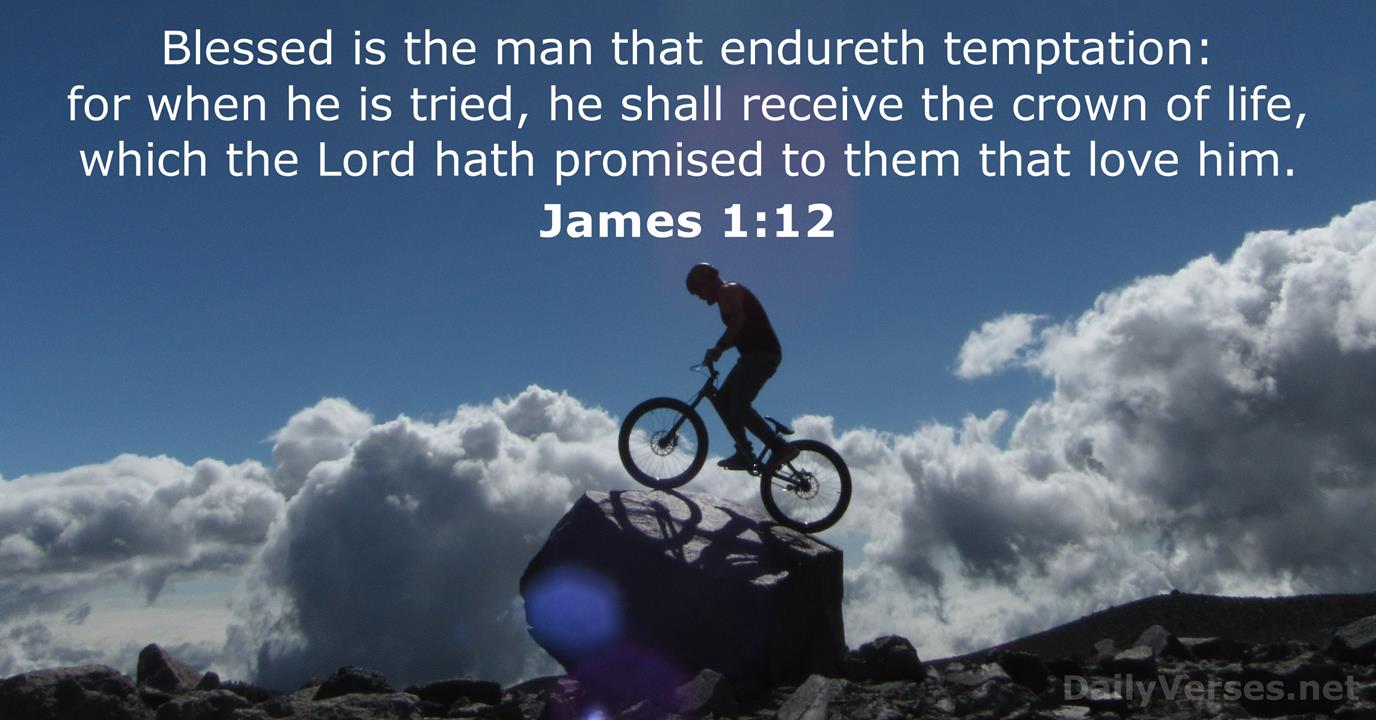 James 1 12 Bible Verse KJV DailyVerses