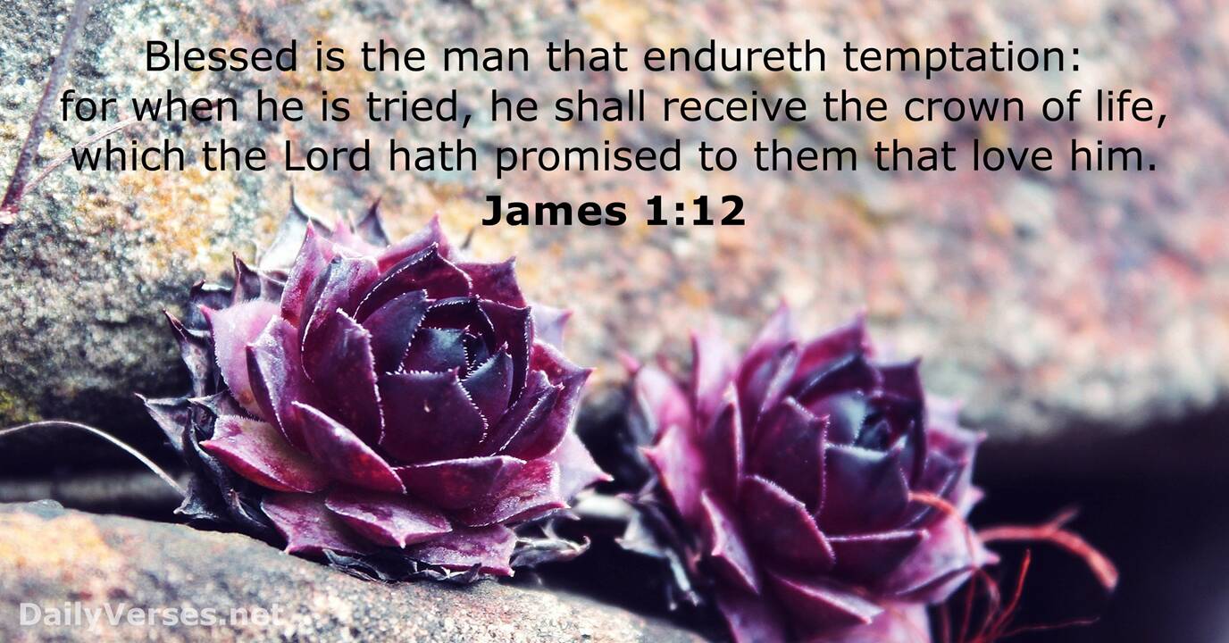 James 1 12 Bible Verse KJV DailyVerses