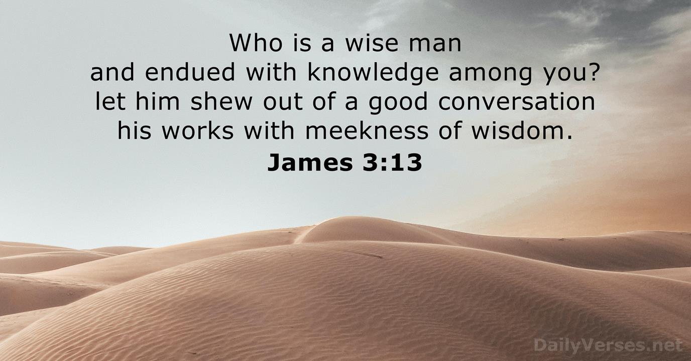 James 3 13 Bible Verse KJV DailyVerses