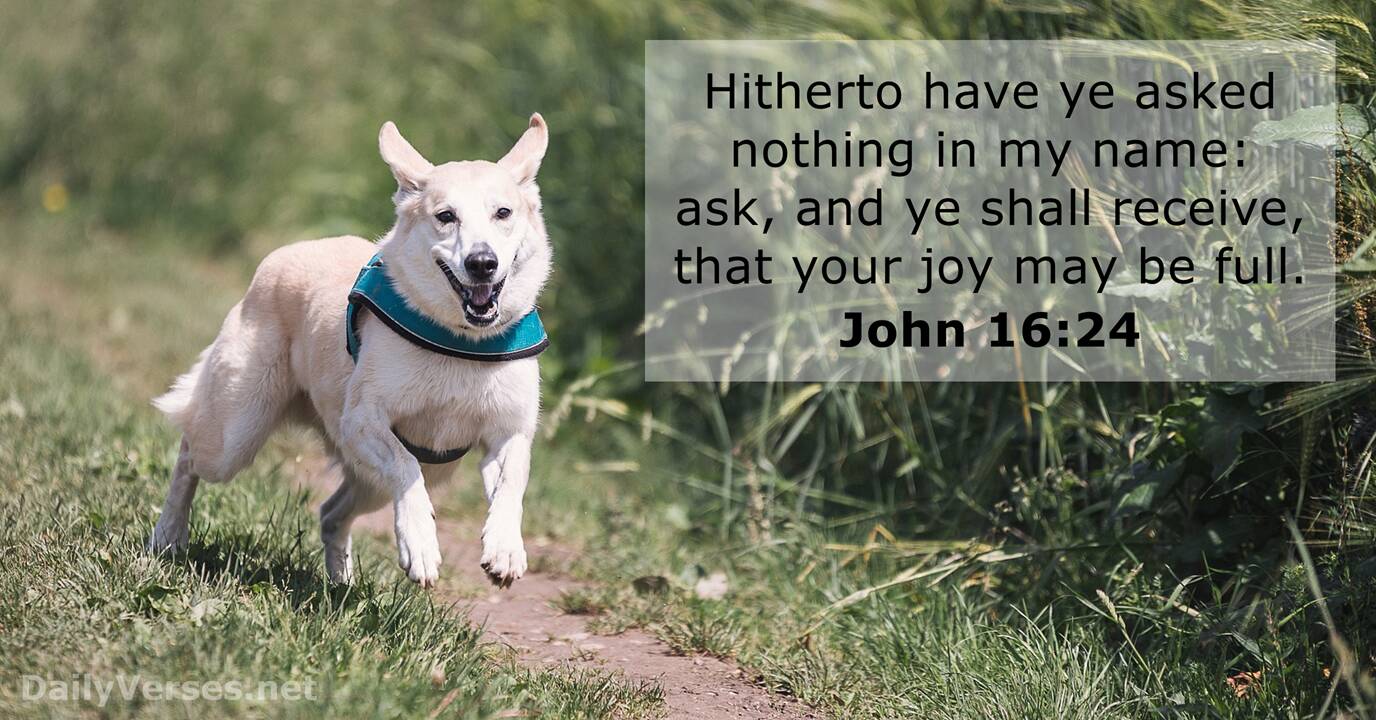 John 16:24 - KJV - Bible verse of the day - DailyVerses.net
