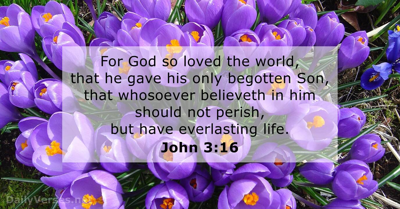 john-3-16-esv-bible-verse-of-the-day-dailyverses