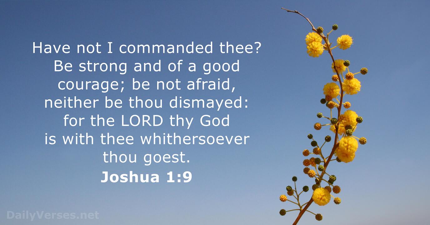 Joshua 1:9 Niv