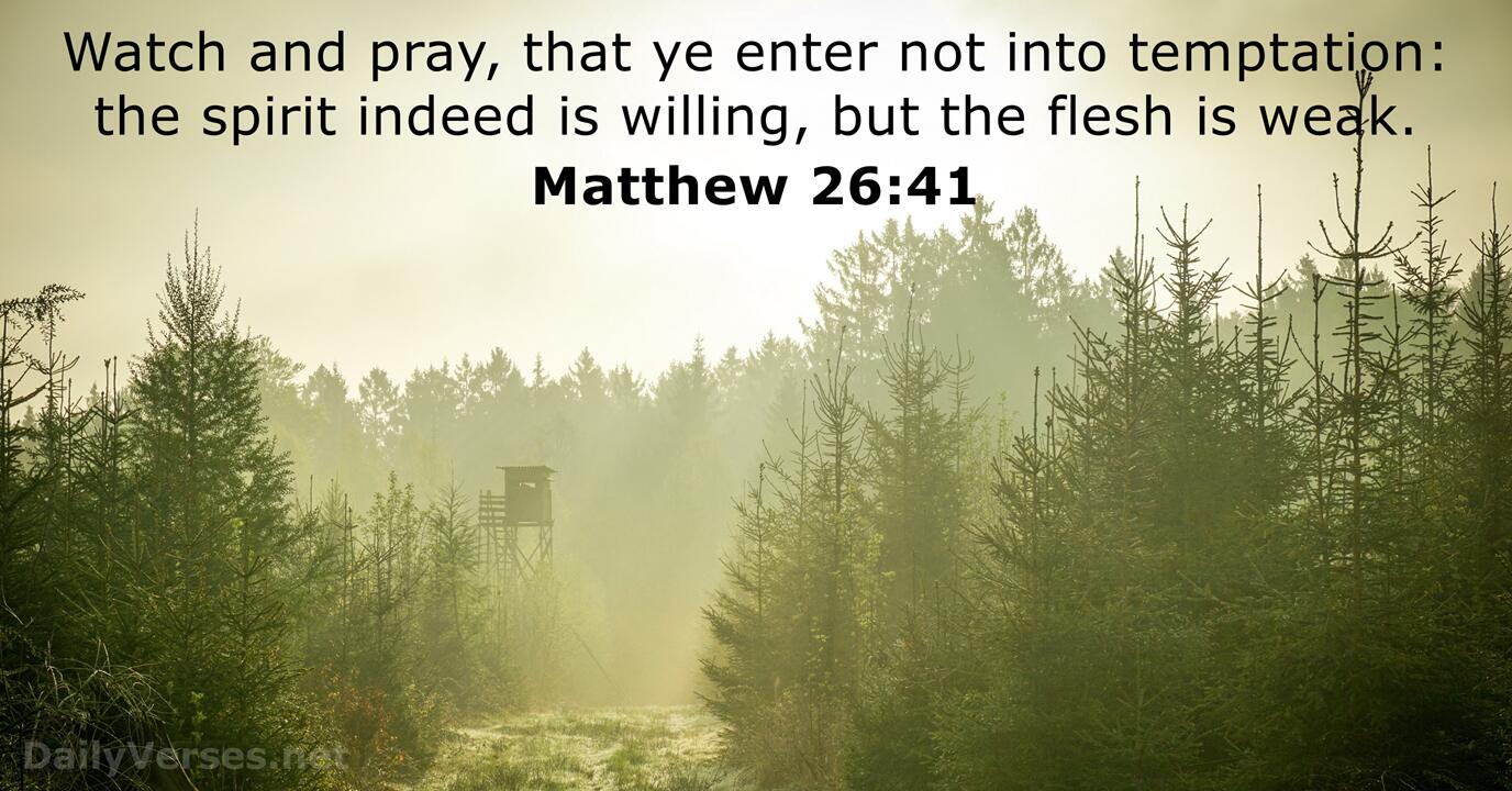 Matthew 26 41 Bible Verse KJV DailyVerses