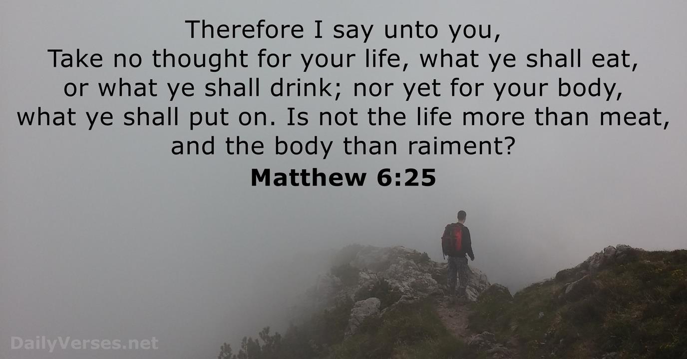 Matthew 6 25 Bible Verse KJV DailyVerses