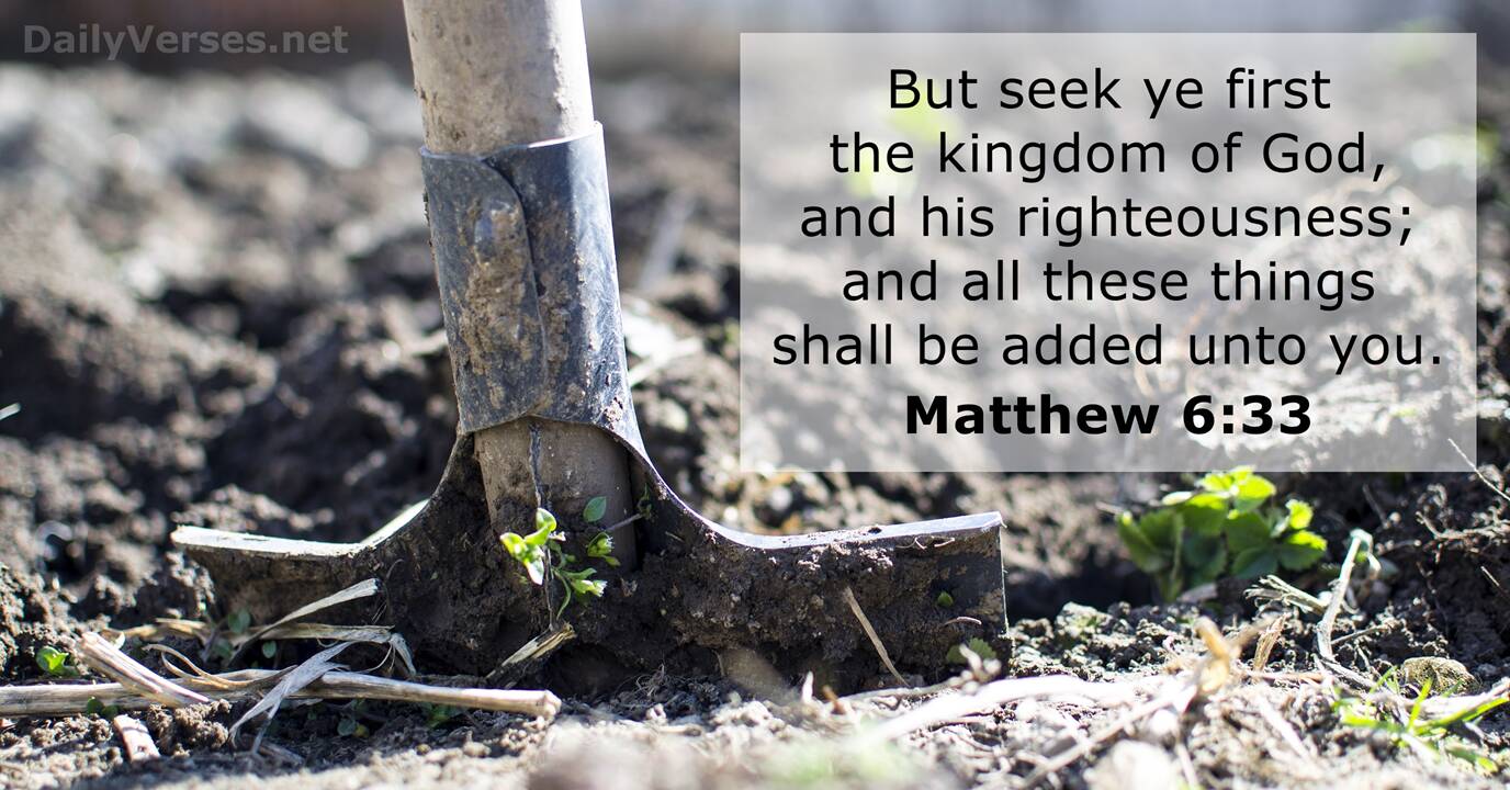 Matthew 6 33 ESV Bible Verse Of The Day DailyVerses