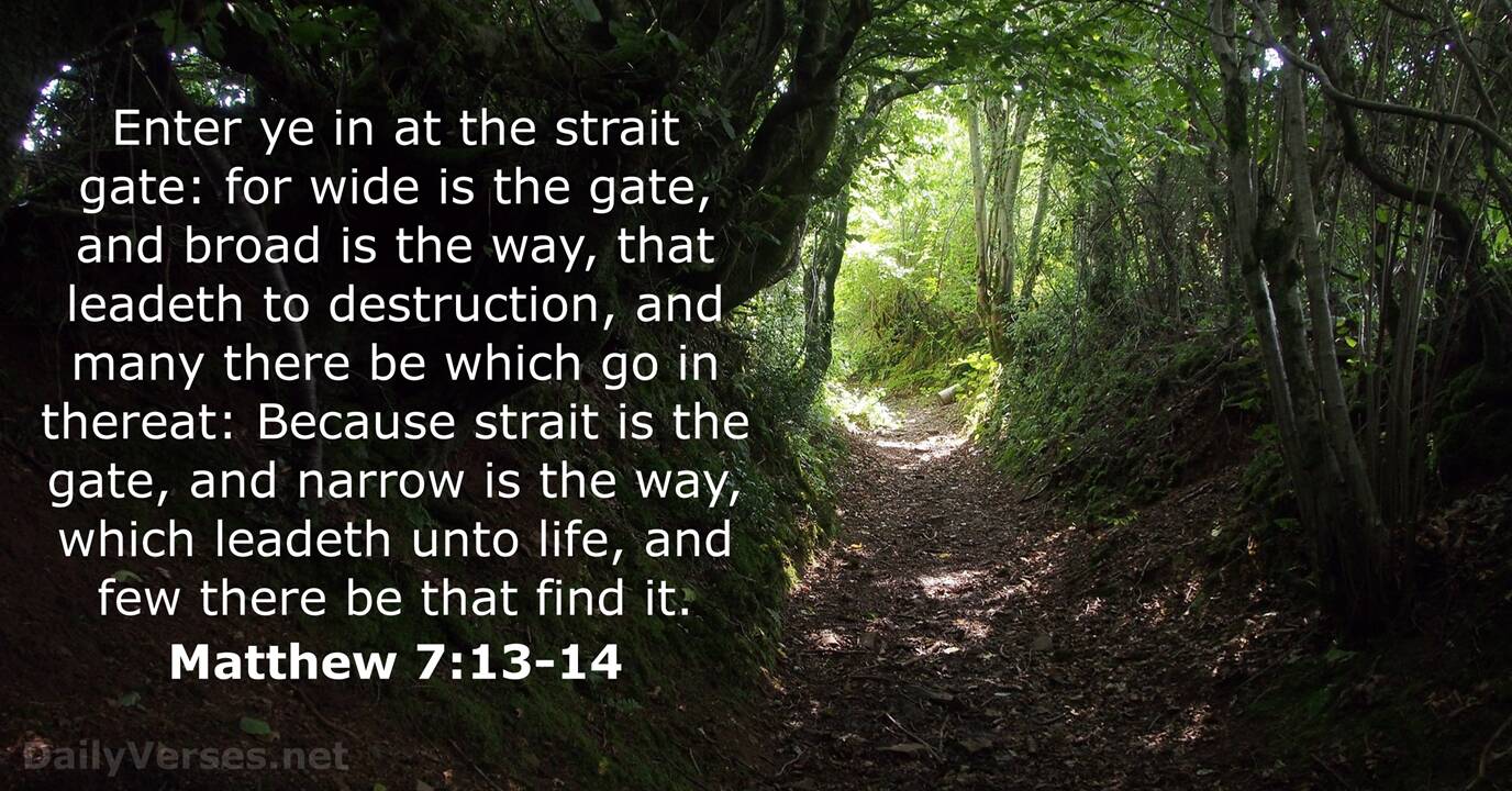 Matthew 7 13 14 Bible Verse KJV DailyVerses