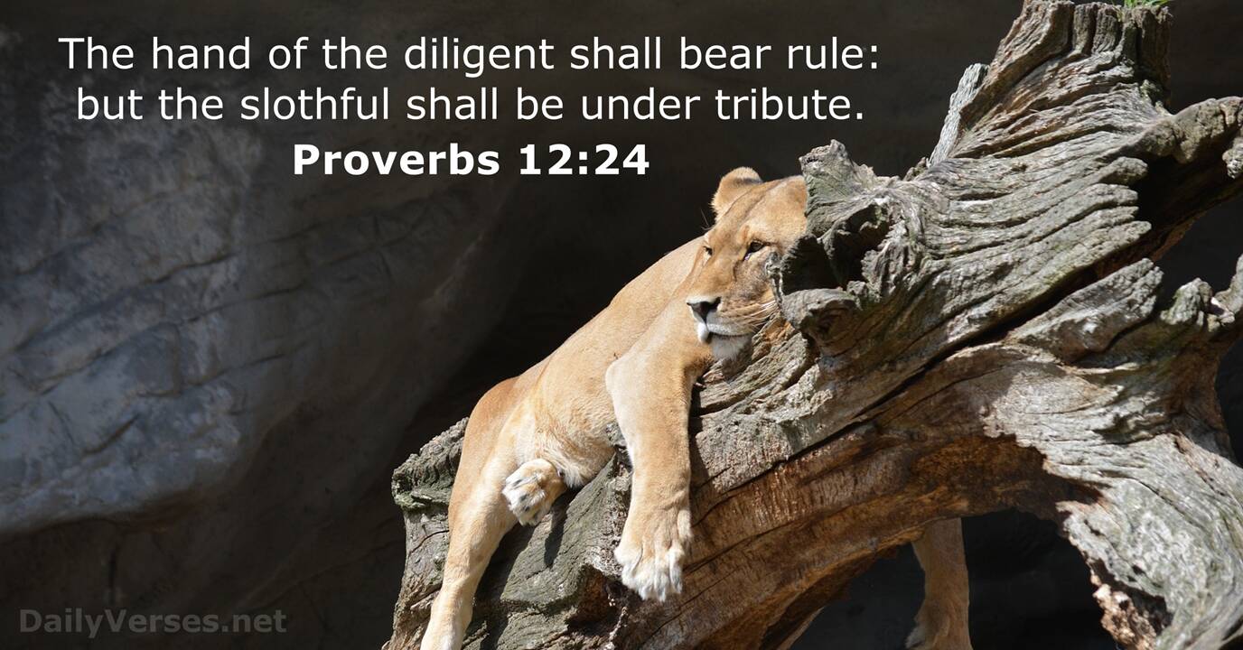 proverbs 24 11 12 kjv