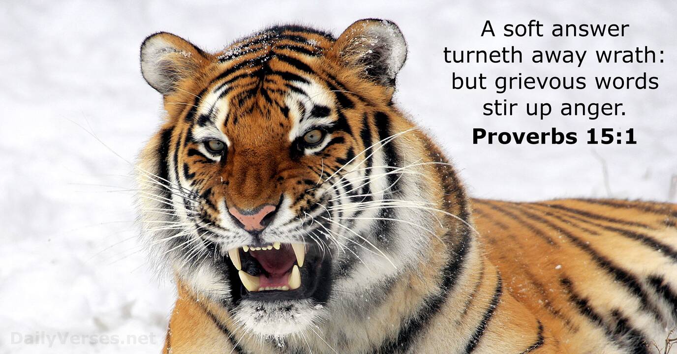 Proverbs 15 1 Bible Verse KJV DailyVerses