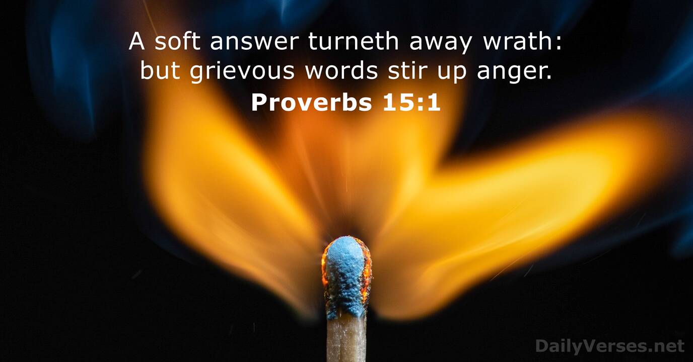 July 29 2021 Bible Verse Of The Day KJV Proverbs 15 1 