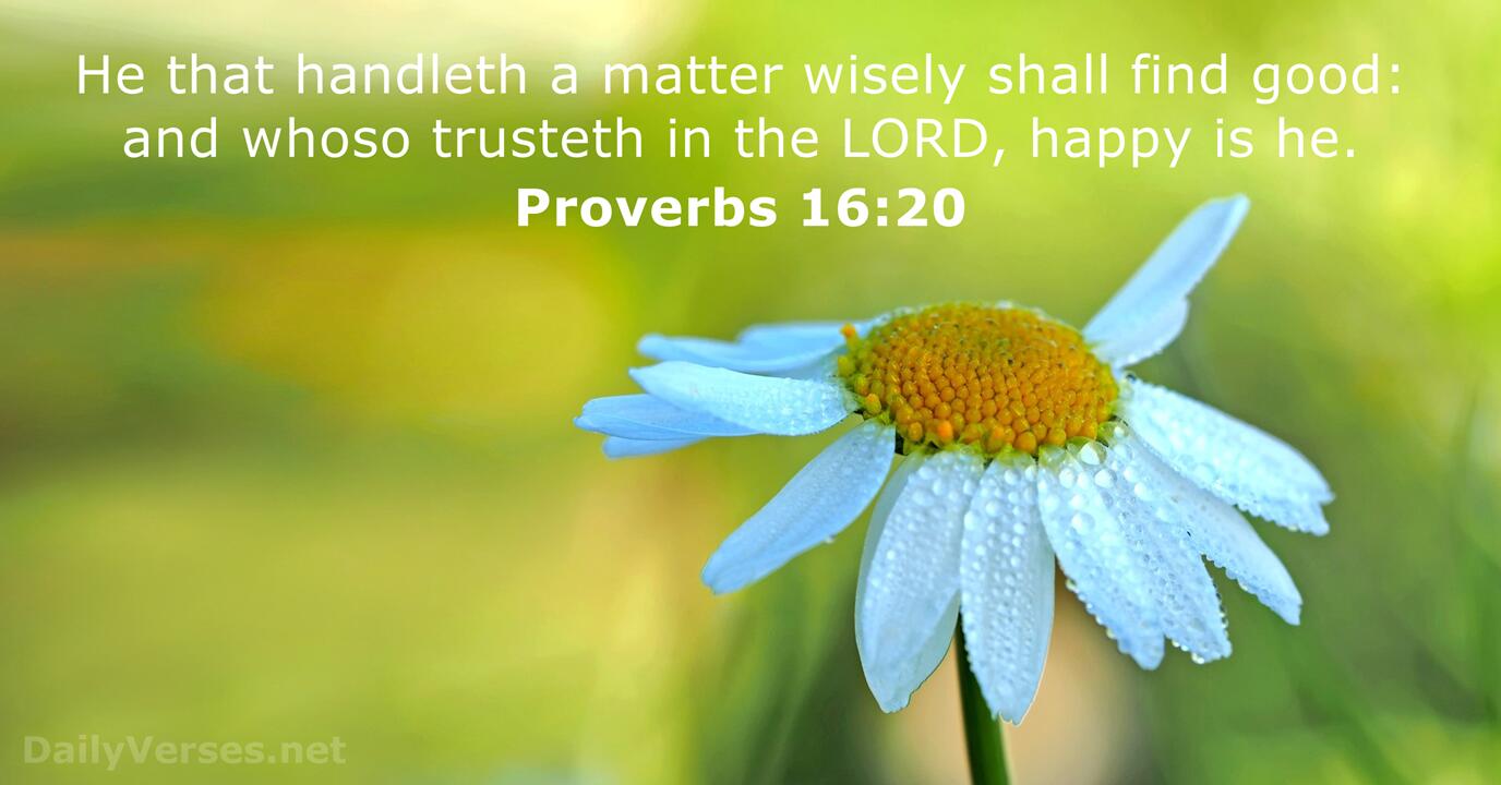 Proverbs 16 20 Bible Verse KJV DailyVerses