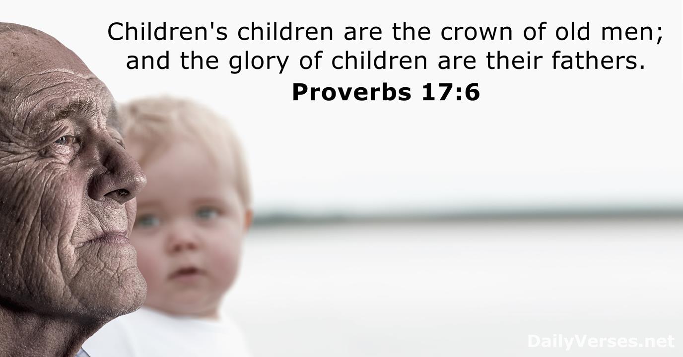 Proverbs 17 6 Bible Verse KJV DailyVerses
