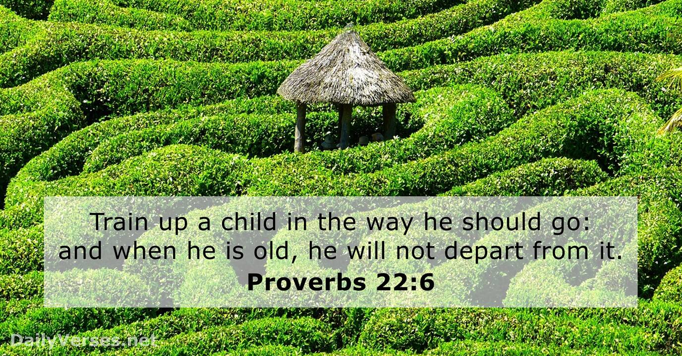 Proverbs 22:6 Holding Plant
