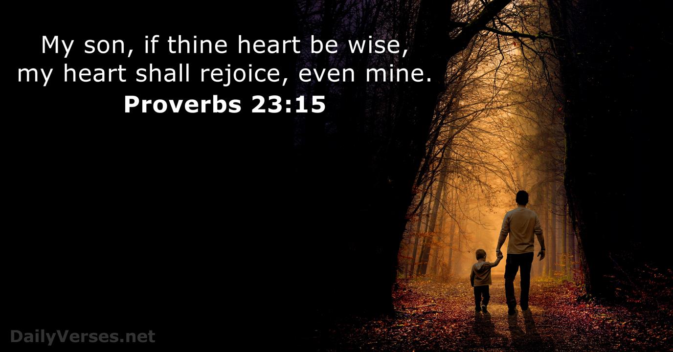 proverbs 15 23 kjv