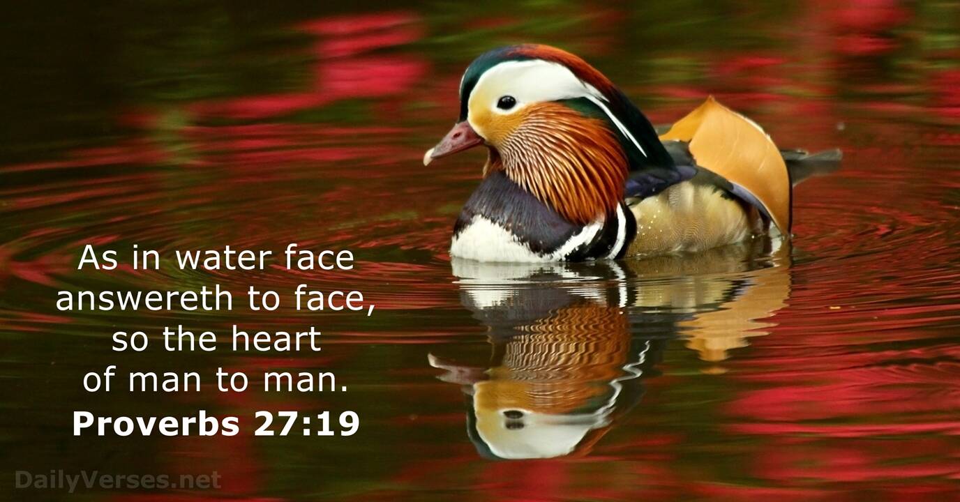 Proverbs 27 19 Bible Verse KJV DailyVerses