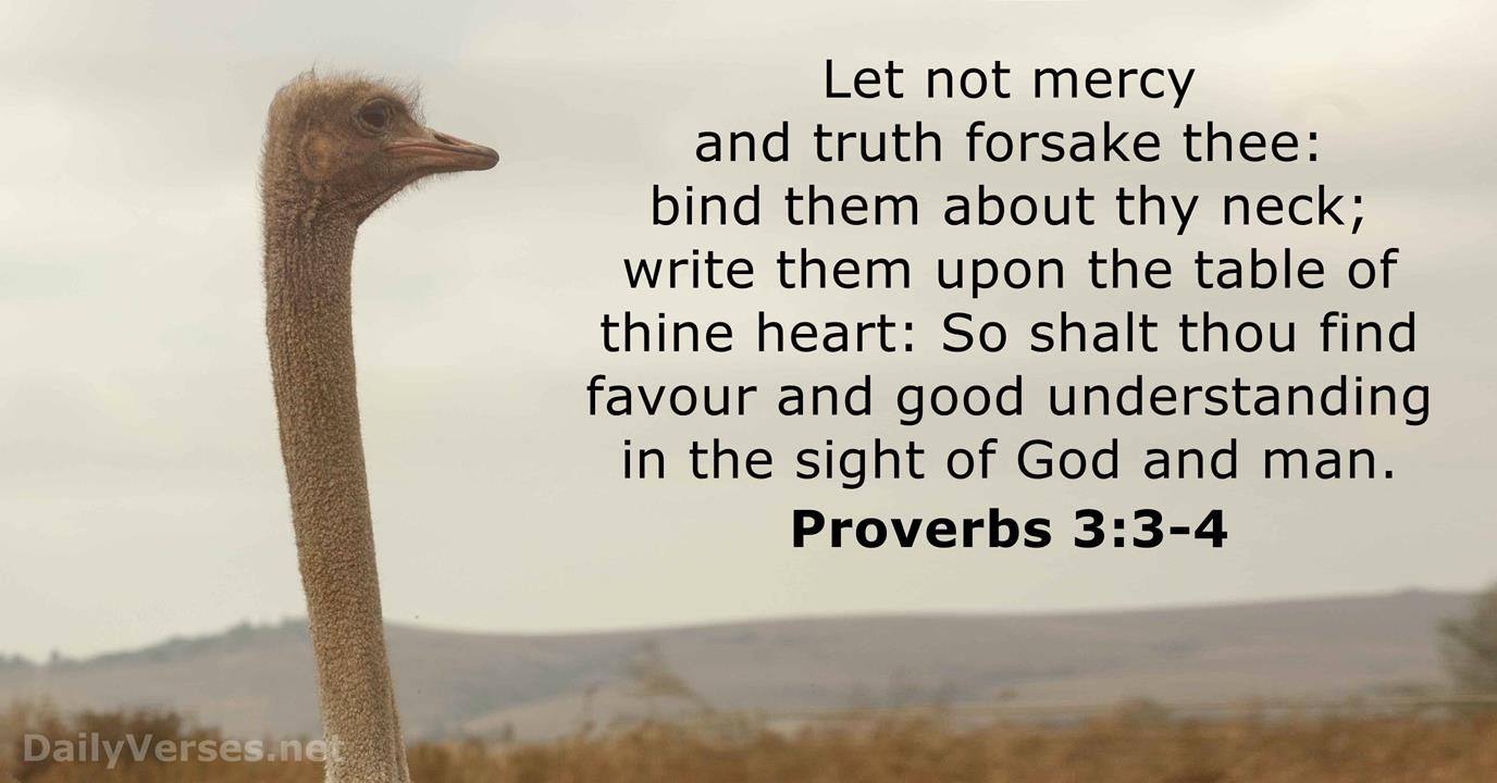Proverbs 3 3 4 Bible Verse KJV DailyVerses