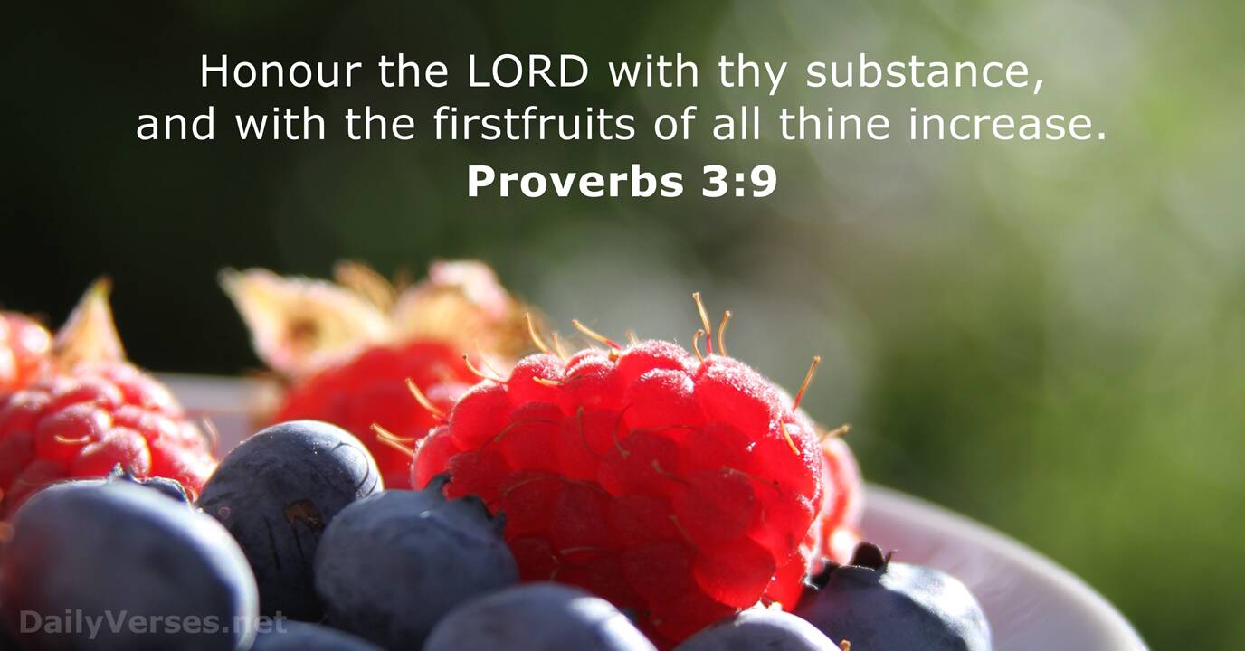 Proverbs 3 9 Bible Verse KJV DailyVerses