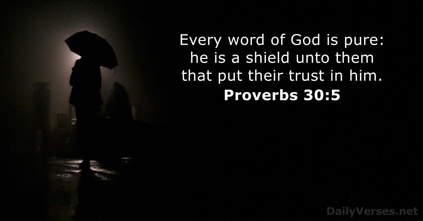 February 20 2023 Bible Verse Of The Day KJV Proverbs 30 5 