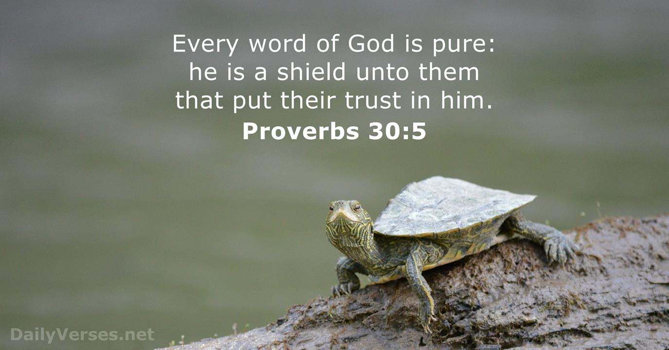 May 14 2020 Bible Verse Of The Day KJV Proverbs 30 5 