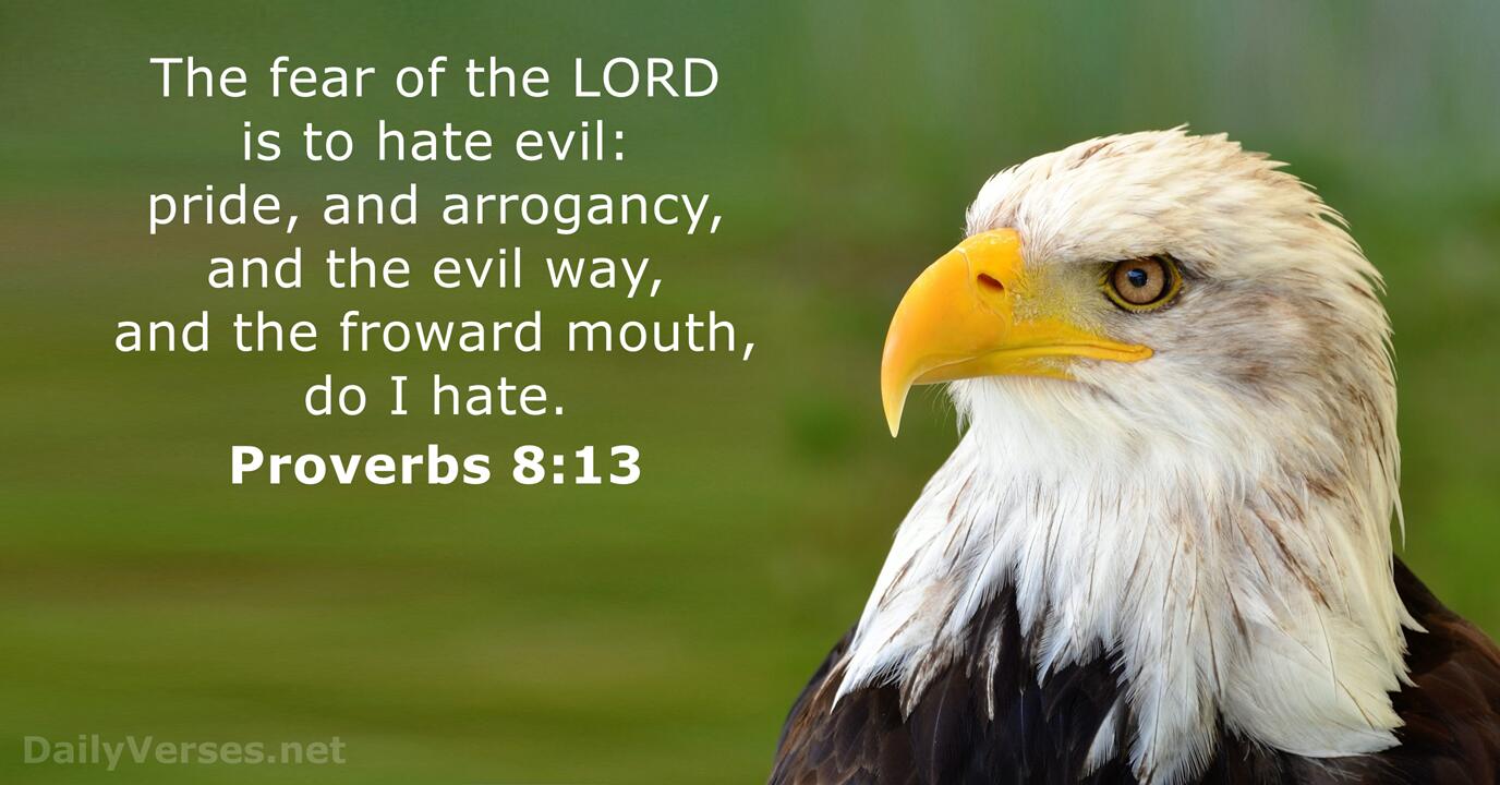 Proverbs 8 13 Bible Verse KJV DailyVerses